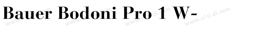 Bauer Bodoni Pro 1 W字体转换
